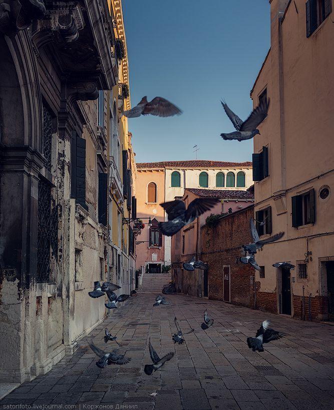 Фотография: Один день в Венеции №48 - BigPicture.ru