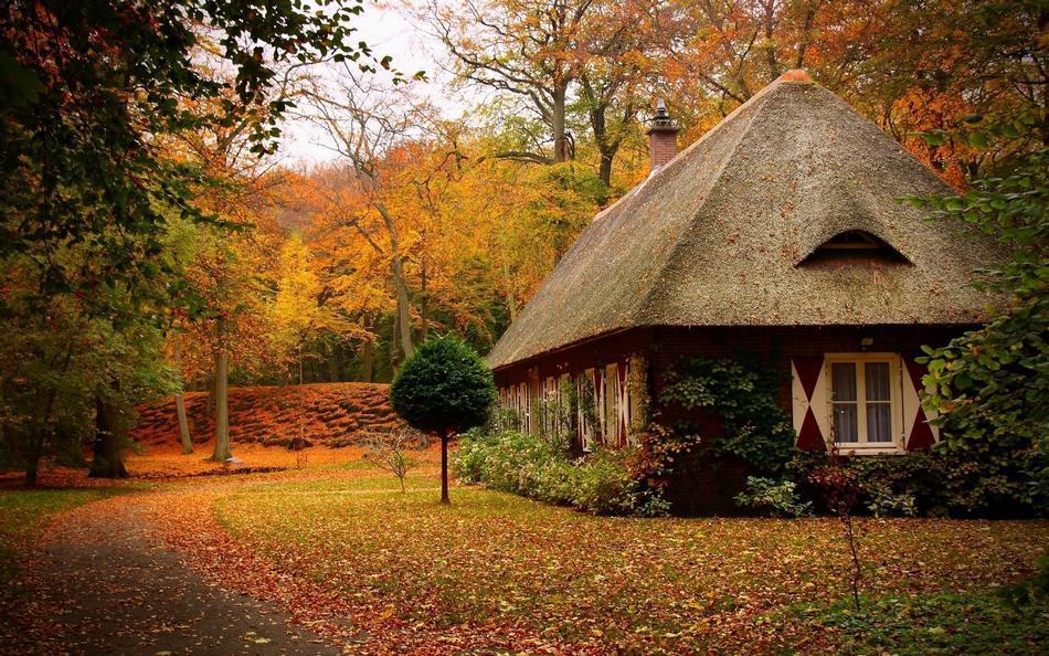 Фотография: Самые красивые дома в лесу №4 - BigPicture.ru