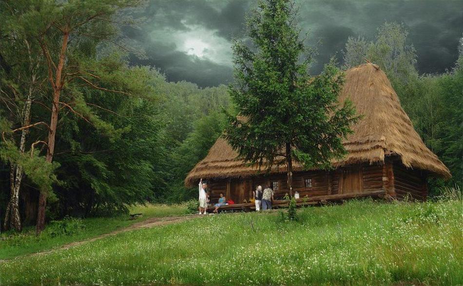 Фотография: Самые красивые дома в лесу №8 - BigPicture.ru