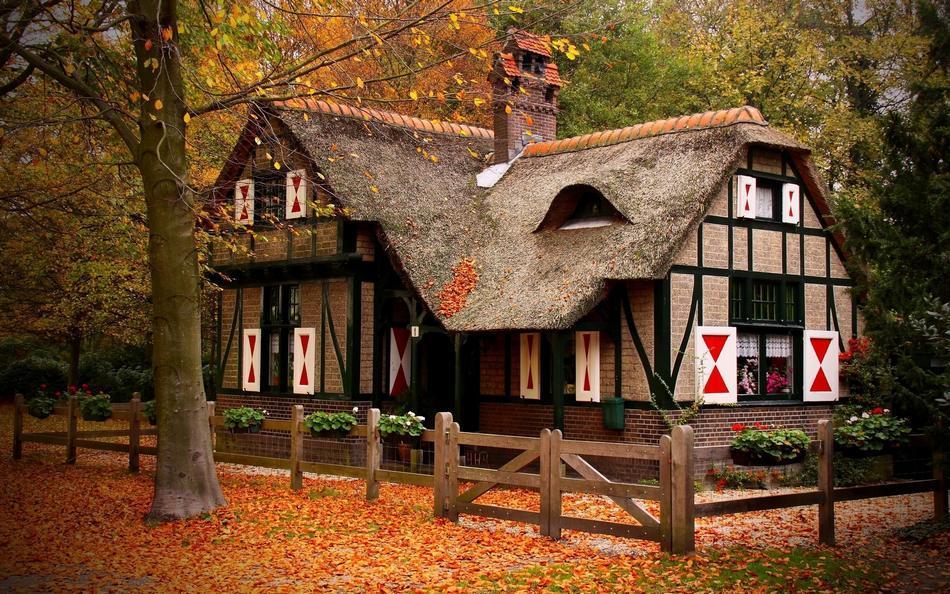 Фотография: Самые красивые дома в лесу №9 - BigPicture.ru