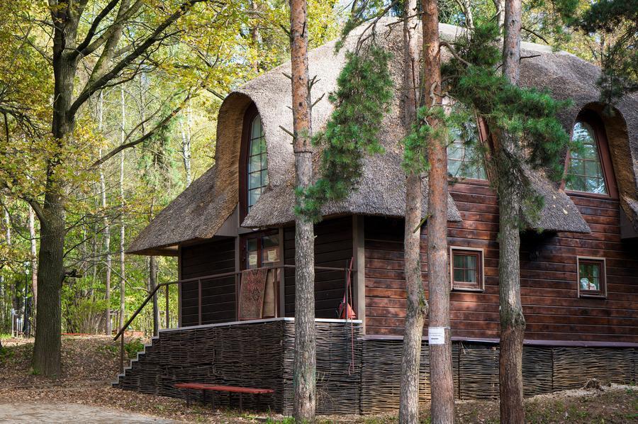 Фотография: Самые красивые дома в лесу №15 - BigPicture.ru