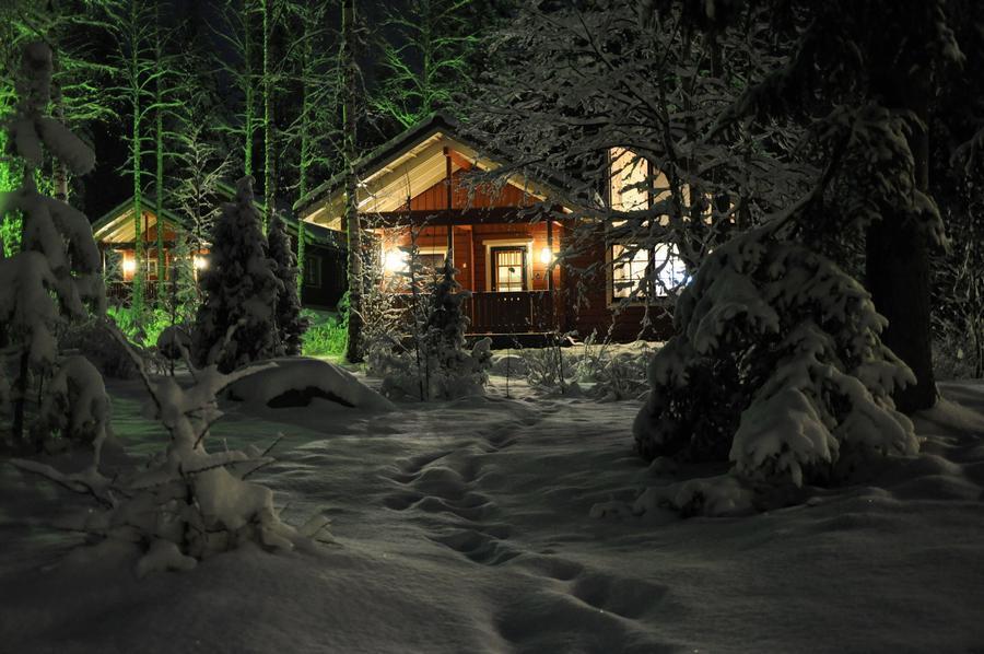 Фотография: Самые красивые дома в лесу №21 - BigPicture.ru