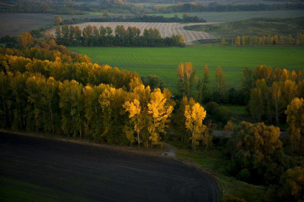 Фотография: Осень в горах Казахстана с высоты птичьего полета №8 - BigPicture.ru