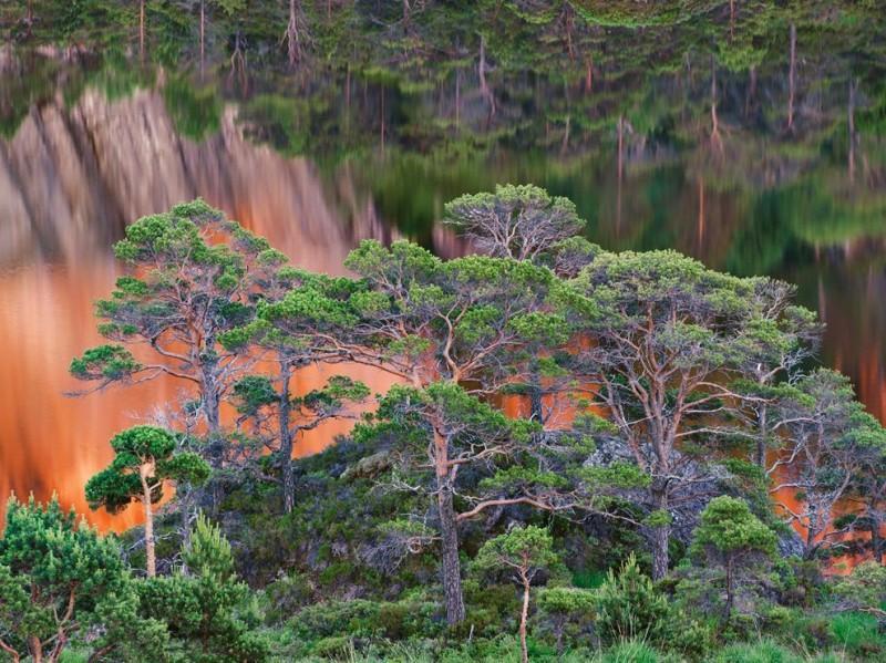 National geographic обои на телефон