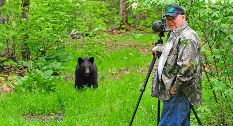 Фотография: Очеловеченный быт семейства черных медведей №16 - BigPicture.ru