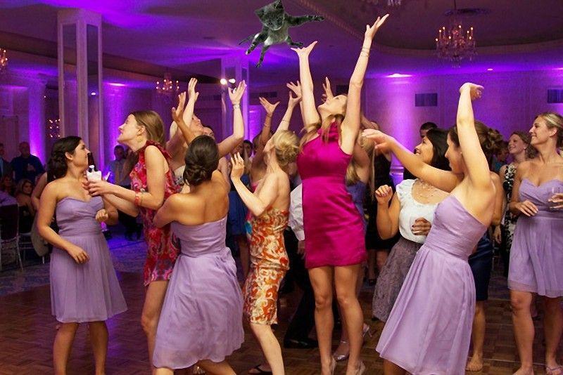Фотография: Невесты, бросающие… котов! №2 - BigPicture.ru