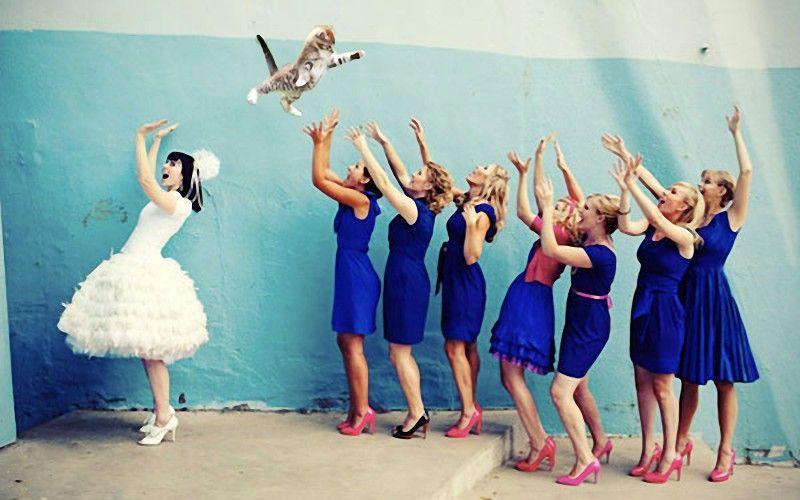 Фотография: Невесты, бросающие… котов! №3 - BigPicture.ru