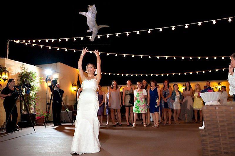 Фотография: Невесты, бросающие… котов! №4 - BigPicture.ru