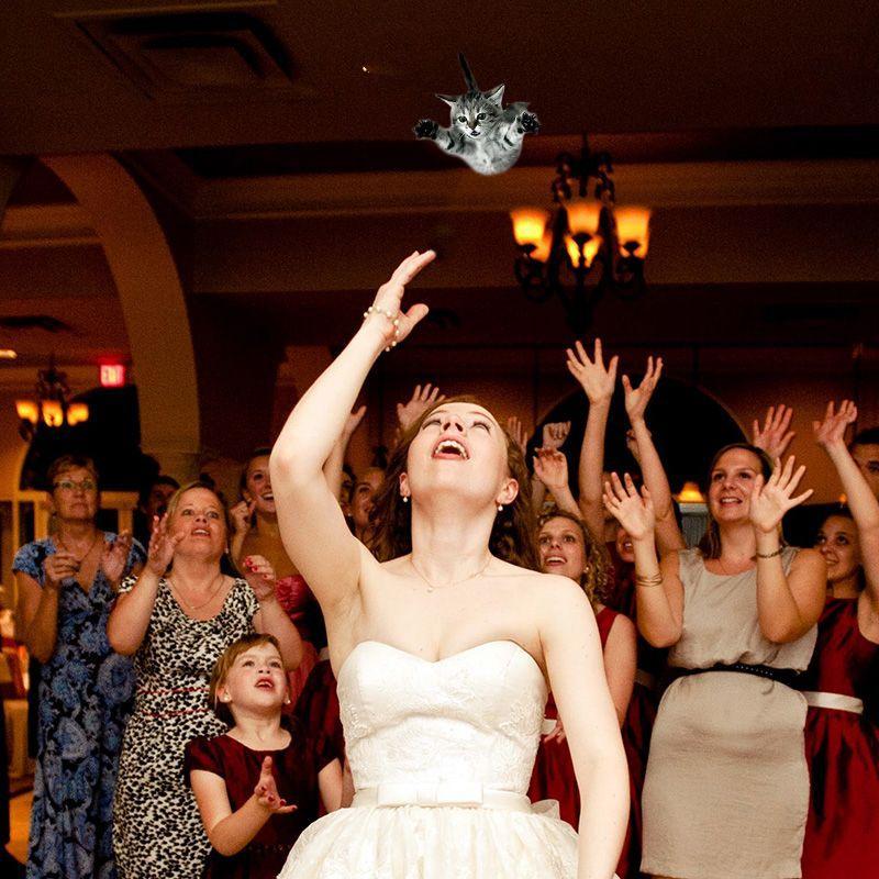 Фотография: Невесты, бросающие… котов! №8 - BigPicture.ru