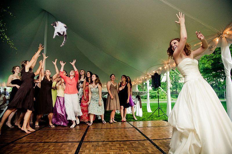 Фотография: Невесты, бросающие… котов! №9 - BigPicture.ru
