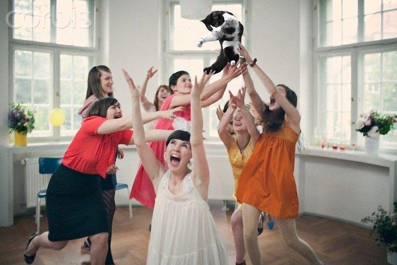 Фотография: Невесты, бросающие… котов! №10 - BigPicture.ru