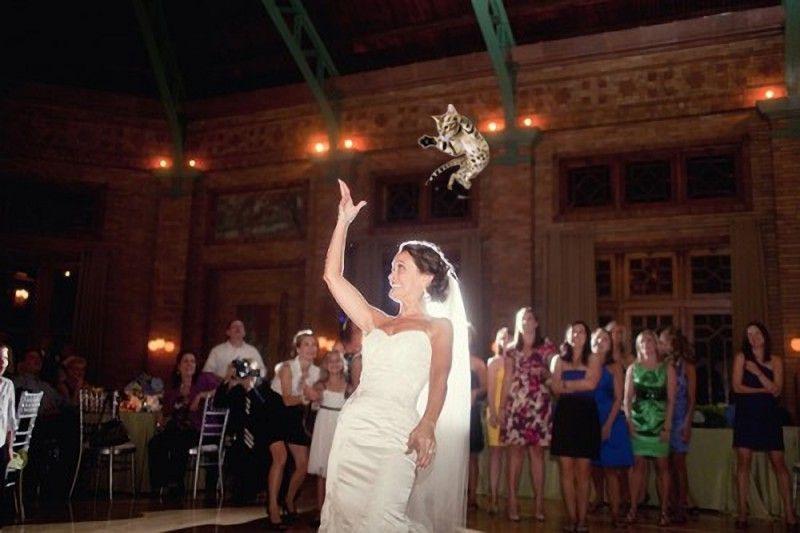 Фотография: Невесты, бросающие… котов! №14 - BigPicture.ru