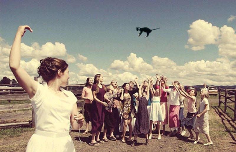 Фотография: Невесты, бросающие… котов! №15 - BigPicture.ru