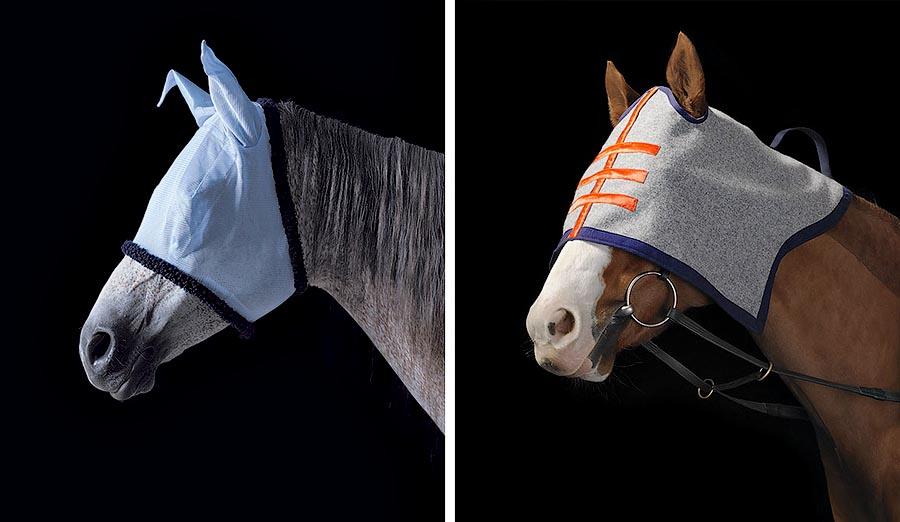 Фотография: Грация прекрасных лошадей в фотопроекте Equus №41 - BigPicture.ru