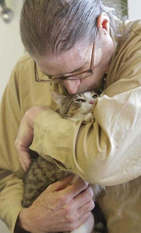 Фотография: Почему мы любим кошек №24 - BigPicture.ru