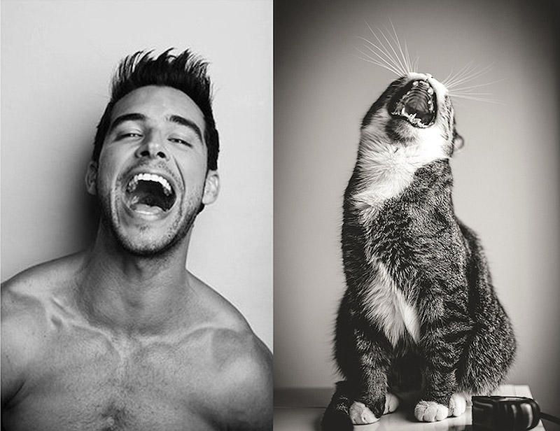 Фотография: Мужчины и котики №3 - BigPicture.ru