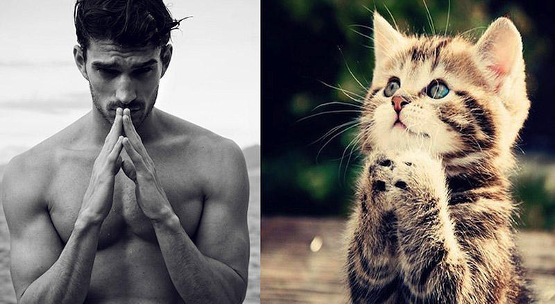 Фотография: Мужчины и котики №11 - BigPicture.ru
