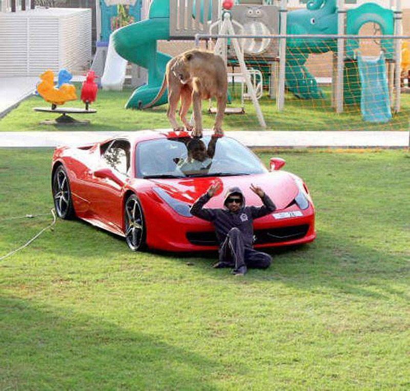 Фотография: Хищные кошечки и дорогие машины: досуг арабского миллионера №29 - BigPicture.ru