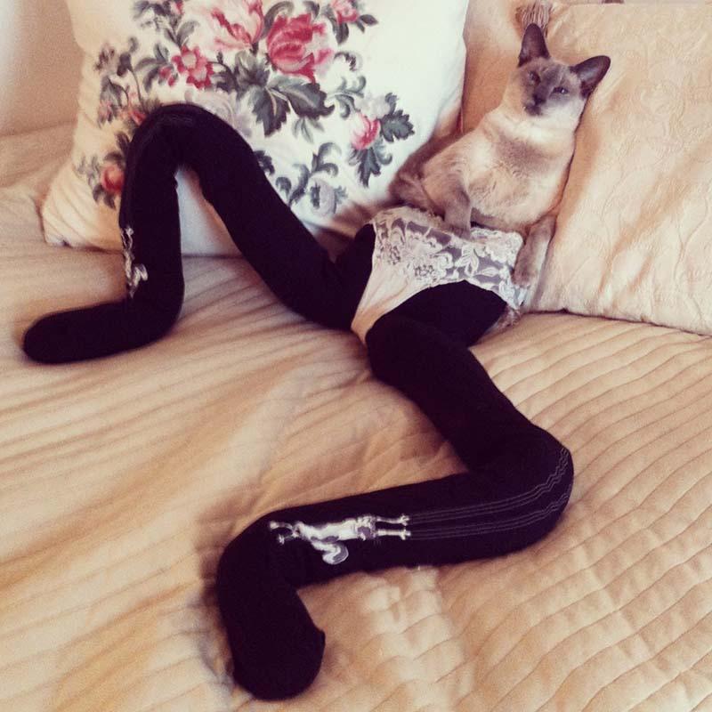 Фотография: Мем: Кошка в колготках №2 - BigPicture.ru