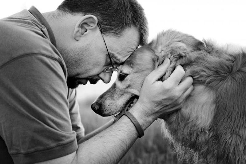 Фотография: Прощание навеки: фотограф снимает последний момент любви между хозяином и собакой перед усыплением №25 - BigPicture.ru