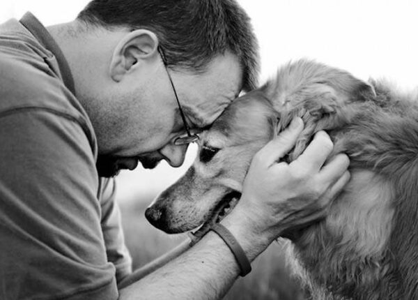 Прощание навеки: фотограф  снимает последний момент любви между хозяином и собакой перед усыплением