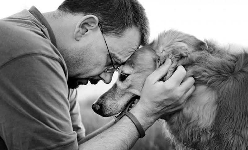 Прощание навеки: фотограф снимает последний момент любви между хозяином и собакой перед усыплением