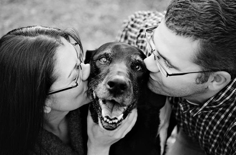 Фотография: Прощание навеки: фотограф снимает последний момент любви между хозяином и собакой перед усыплением №9 - BigPicture.ru