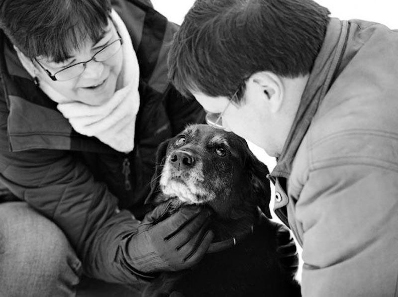 Фотография: Прощание навеки: фотограф  снимает последний момент любви между хозяином и собакой перед усыплением №6 - BigPicture.ru