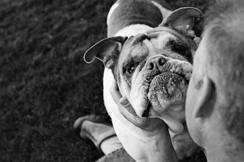 Фотография: Прощание навеки: фотограф снимает последний момент любви между хозяином и собакой перед усыплением №3 - BigPicture.ru