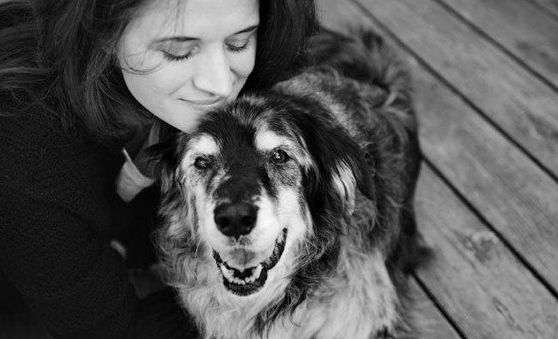 Фотография: Прощание навеки: фотограф  снимает последний момент любви между хозяином и собакой перед усыплением №24 - BigPicture.ru