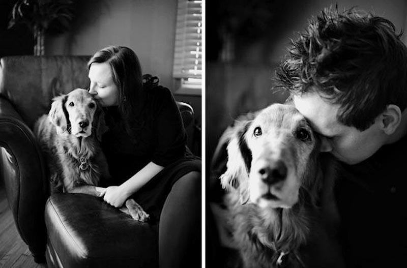 Фотография: Прощание навеки: фотограф снимает последний момент любви между хозяином и собакой перед усыплением №20 - BigPicture.ru