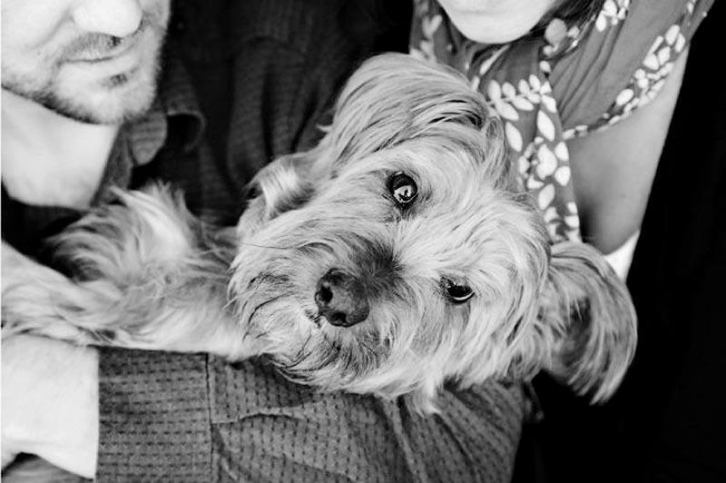 Фотография: Прощание навеки: фотограф снимает последний момент любви между хозяином и собакой перед усыплением №16 - BigPicture.ru
