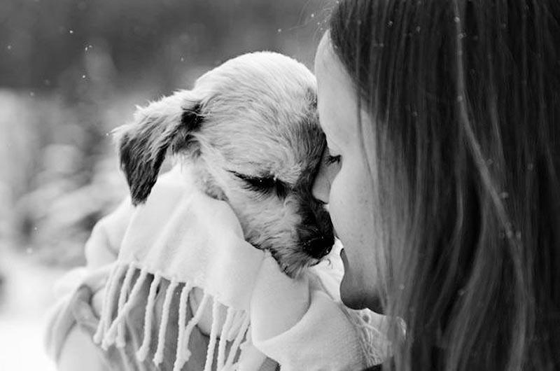 Фотография: Прощание навеки: фотограф снимает последний момент любви между хозяином и собакой перед усыплением №15 - BigPicture.ru