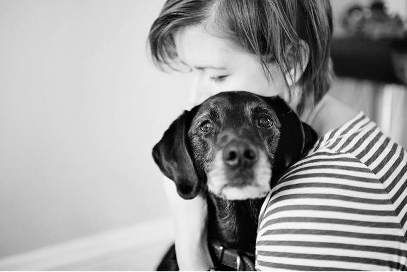 Фотография: Прощание навеки: фотограф снимает последний момент любви между хозяином и собакой перед усыплением №13 - BigPicture.ru