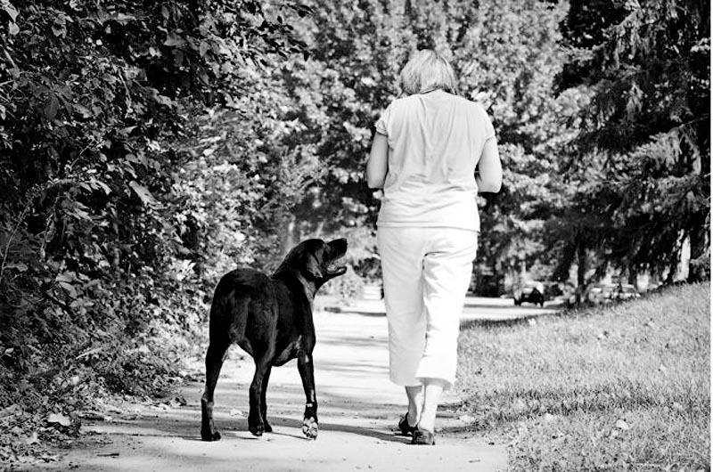 Фотография: Прощание навеки: фотограф снимает последний момент любви между хозяином и собакой перед усыплением №12 - BigPicture.ru