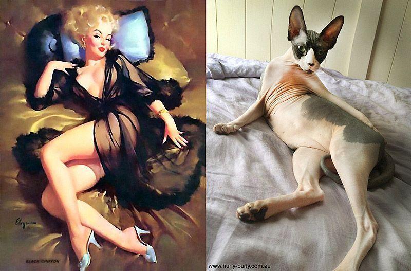 Фотография: Кошки и девушки в стиле пинап №2 - BigPicture.ru