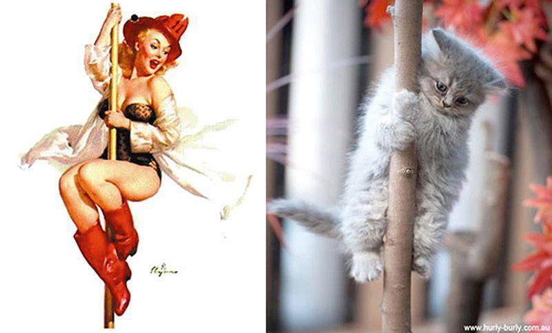Фотография: Кошки и девушки в стиле пинап №3 - BigPicture.ru