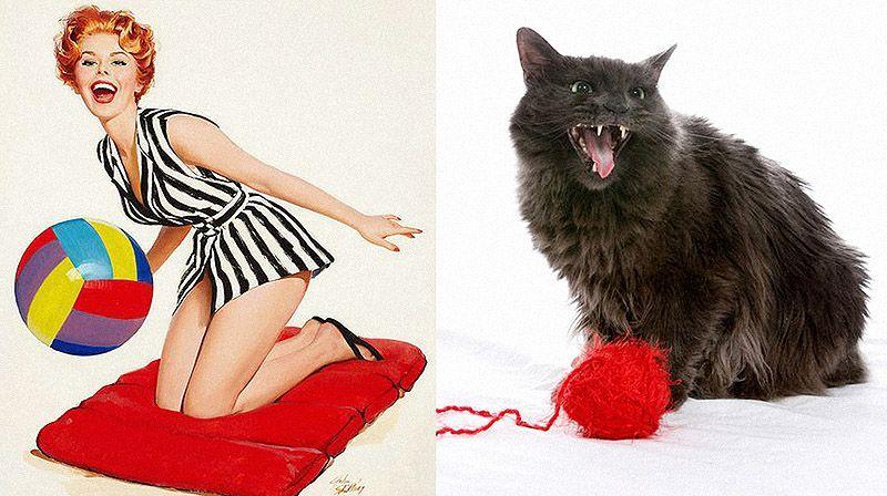 Фотография: Кошки и девушки в стиле пинап №7 - BigPicture.ru