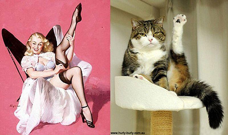 Фотография: Кошки и девушки в стиле пинап №8 - BigPicture.ru