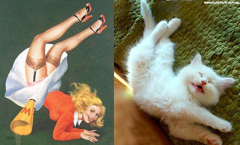 Фотография: Кошки и девушки в стиле пинап №12 - BigPicture.ru