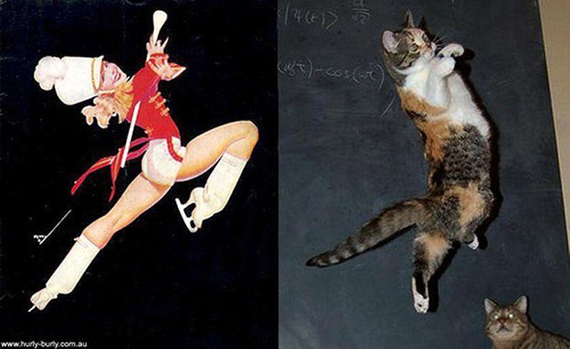 Фотография: Кошки и девушки в стиле пинап №16 - BigPicture.ru