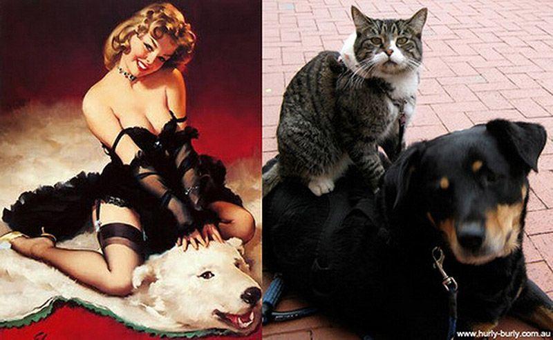 Фотография: Кошки и девушки в стиле пинап №17 - BigPicture.ru