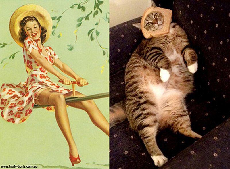 Фотография: Кошки и девушки в стиле пинап №19 - BigPicture.ru