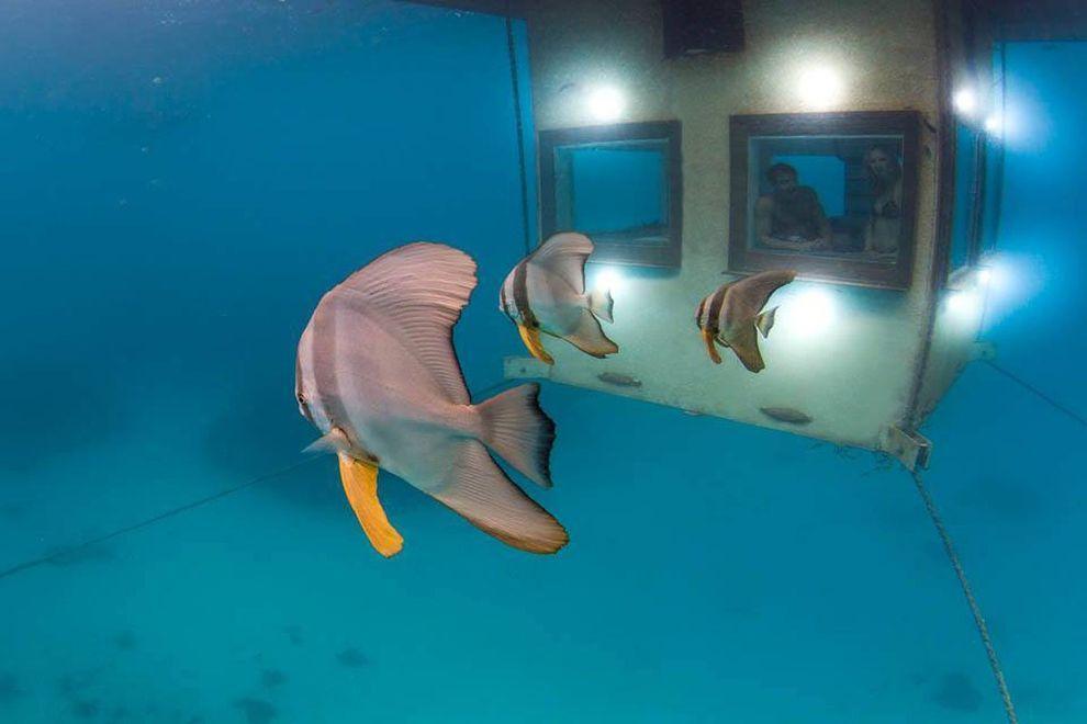 Фотография: Первый подводный гостиничный номер в Африке №6 - BigPicture.ru