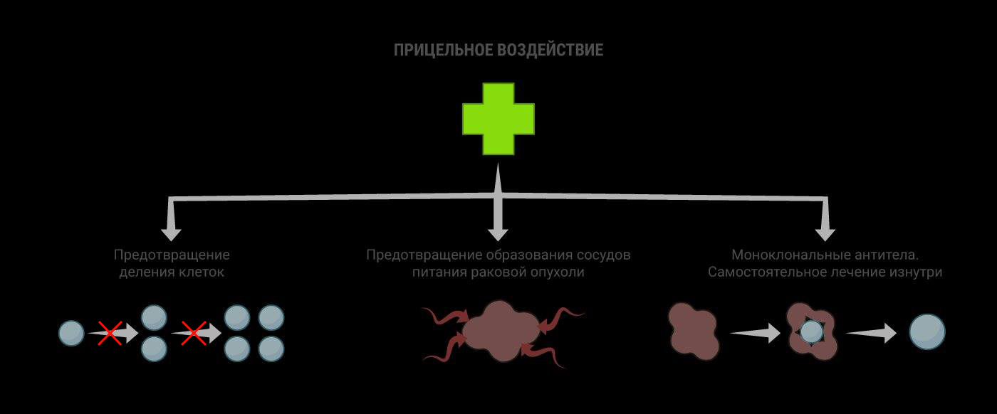 Фотография: Молекулы, которых не было, или Как вылечить рак с помощью математики №2 - BigPicture.ru