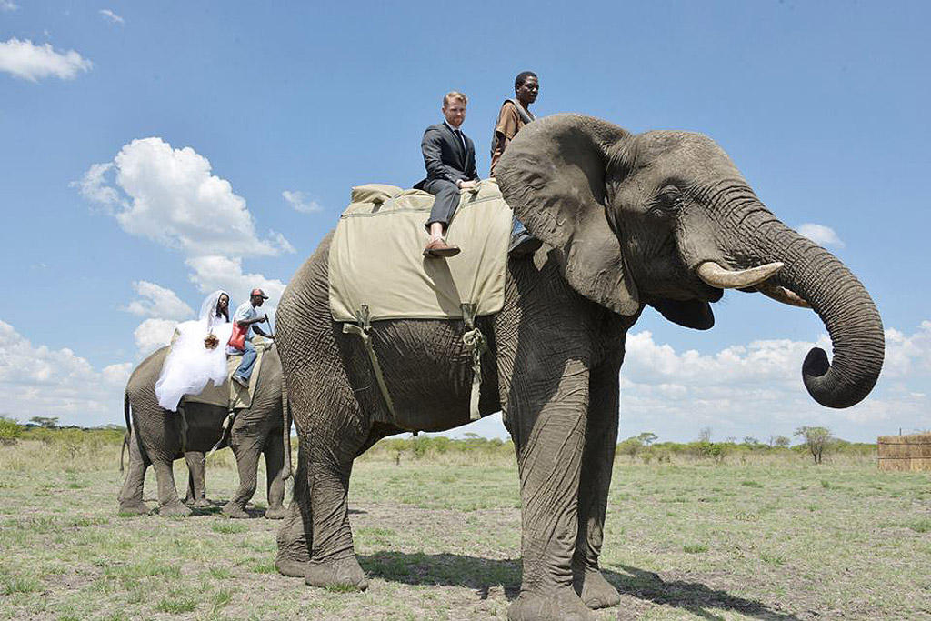 Фотография: Экстраординарная сафари-свадьба в Зимбабве №4 - BigPicture.ru