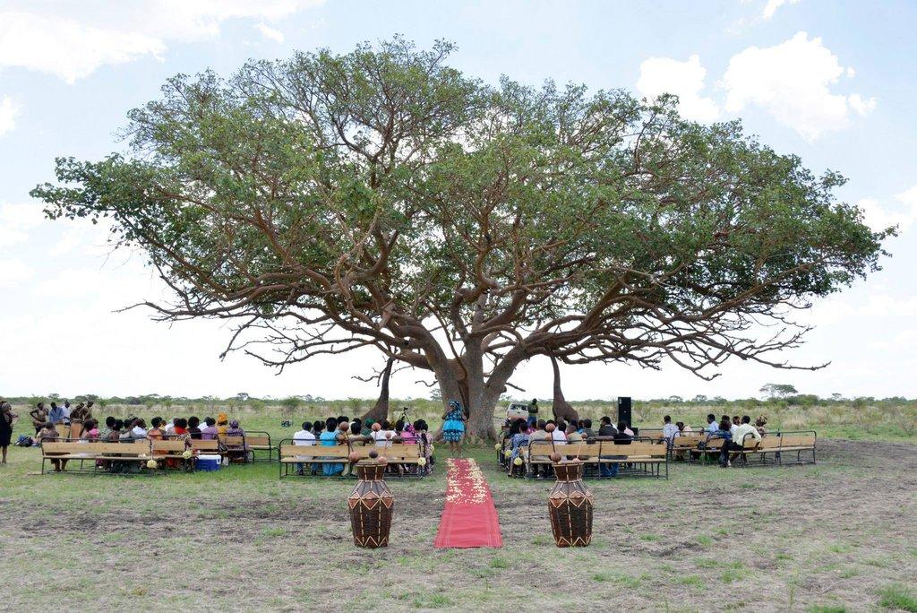 Фотография: Экстраординарная сафари-свадьба в Зимбабве №8 - BigPicture.ru