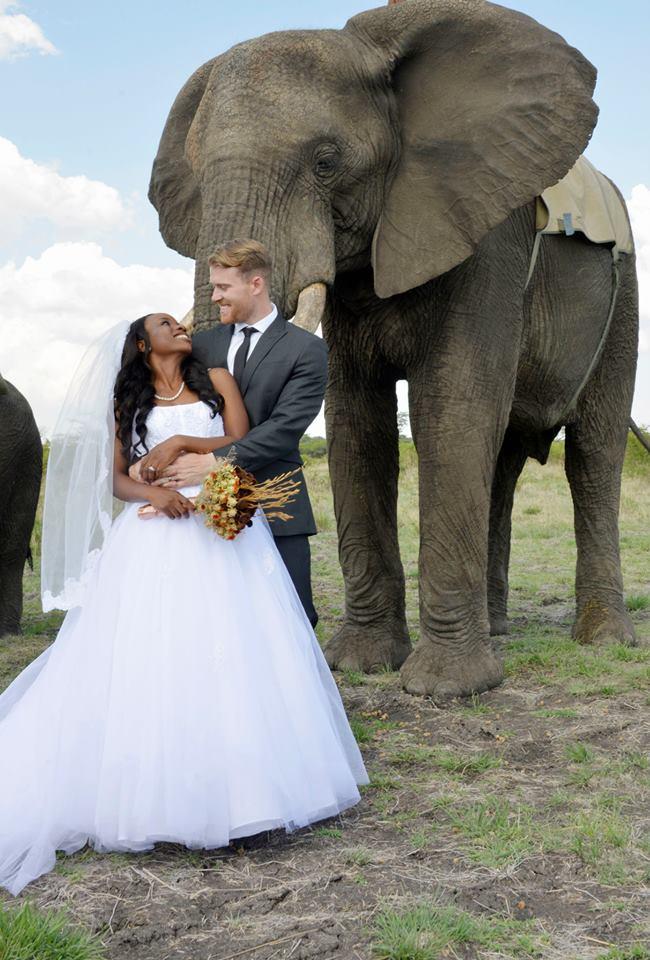 Фотография: Экстраординарная сафари-свадьба в Зимбабве №13 - BigPicture.ru