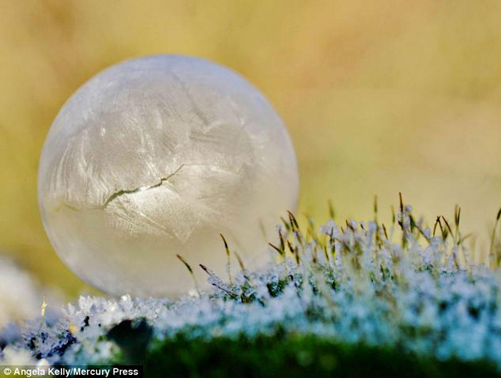 Фотография: Хрустальные шары: девушка фотографирует мыльные пузыри в мороз №12 - BigPicture.ru