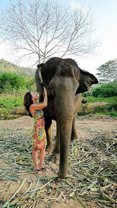 Фотография: Как научиться мыть слона №7 - BigPicture.ru
